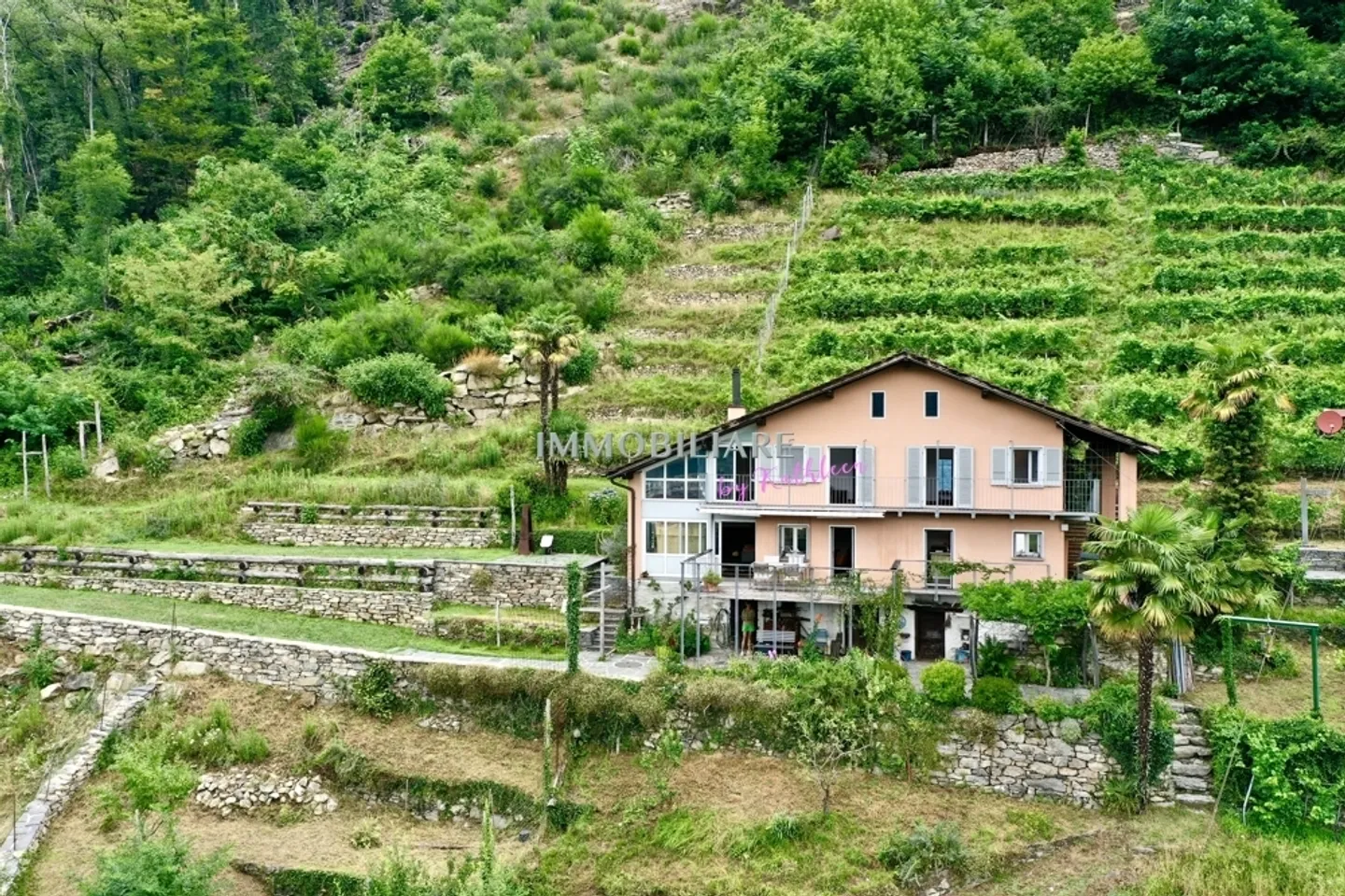 Ein besonderer Rückzugsort inmitten der Reben: saniertes Tessiner Haus - Foto 2 von 13