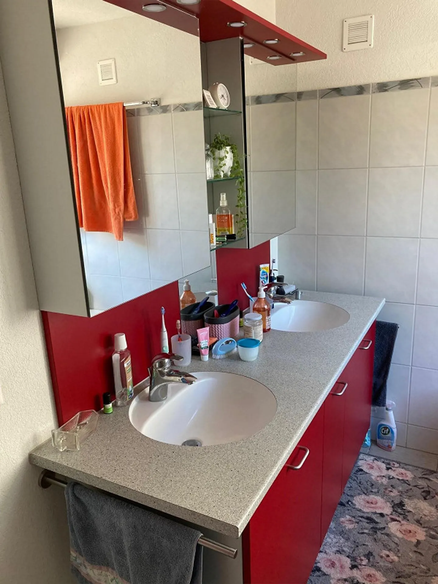 Grande Appartamento a Frauenfeld - Foto 7 di 7