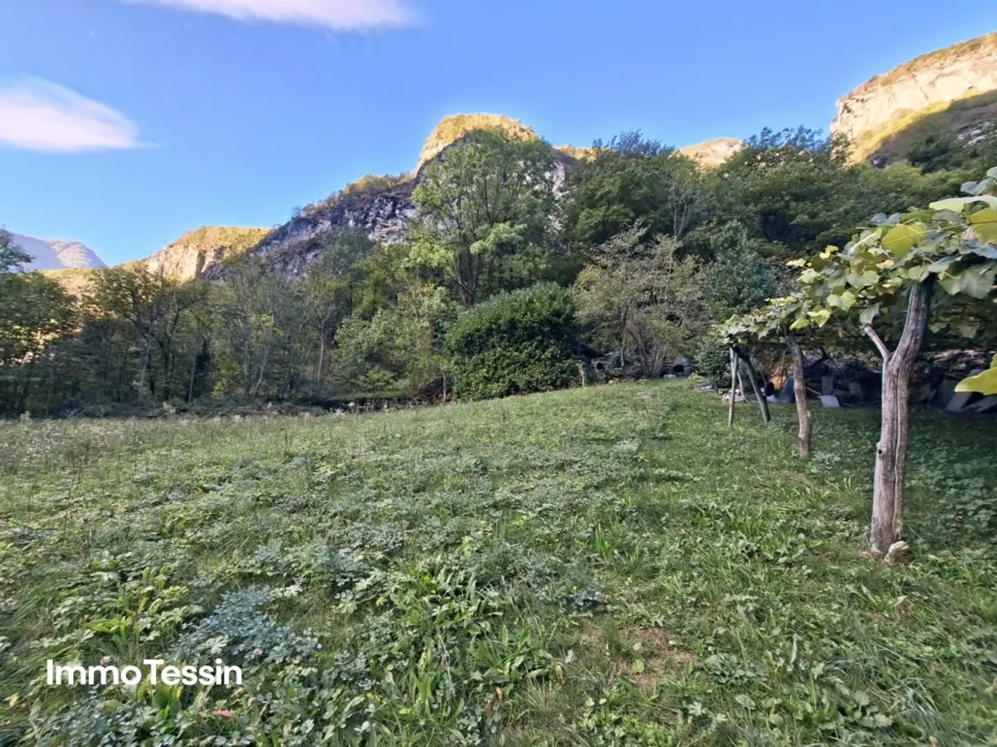 Komplett renoviertes Rustico mit charaktervollem Grottino und Landwirtschaftsland im herrlichen Maggiatal - Foto 4 von 13