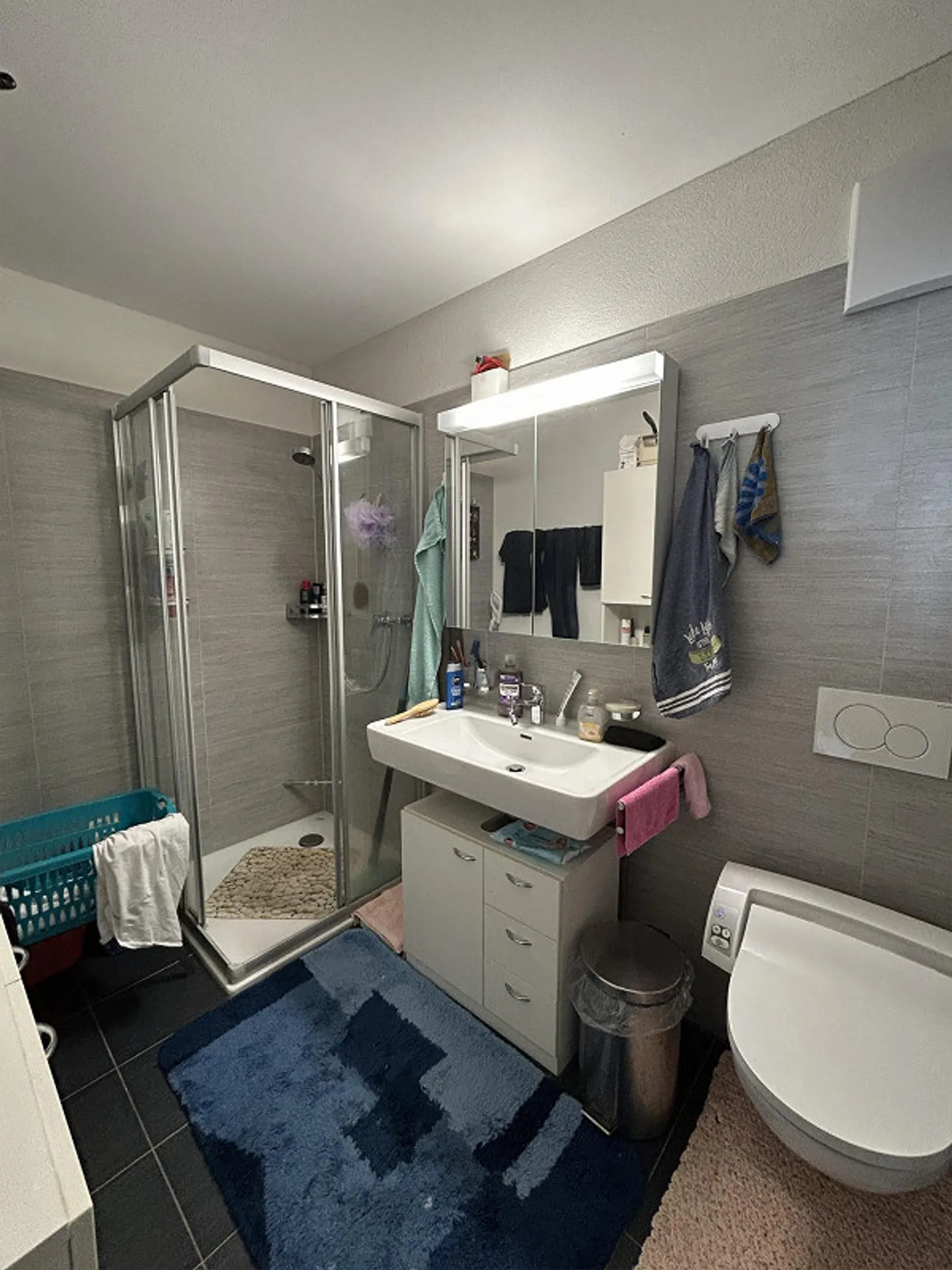 zentral gelegene 2.5-Zimmer-Wohnung in der Bündner Herrschaft - Foto 5 von 9