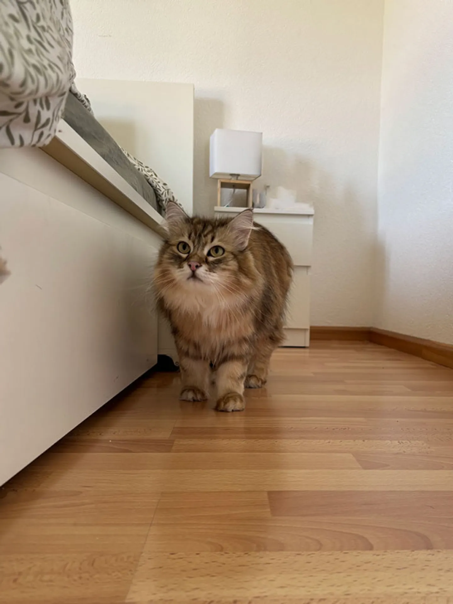 Apartment for sale - Photo 7 of 10