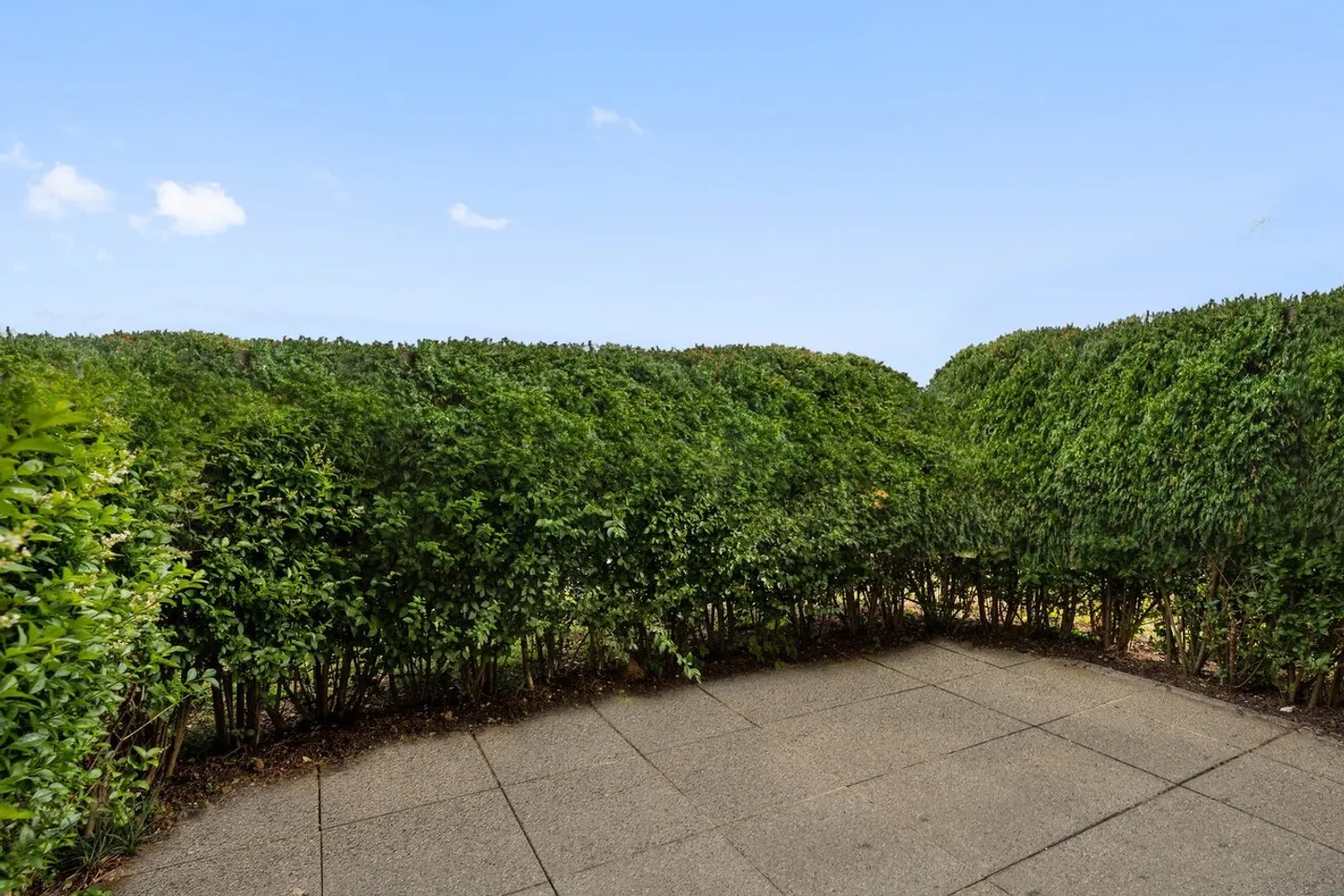 APARTMENT FOR RENT IN A VERY SUNNY AND FAMILY-FRIENDLY NEIGHBORHOOD - Photo 7 of 8