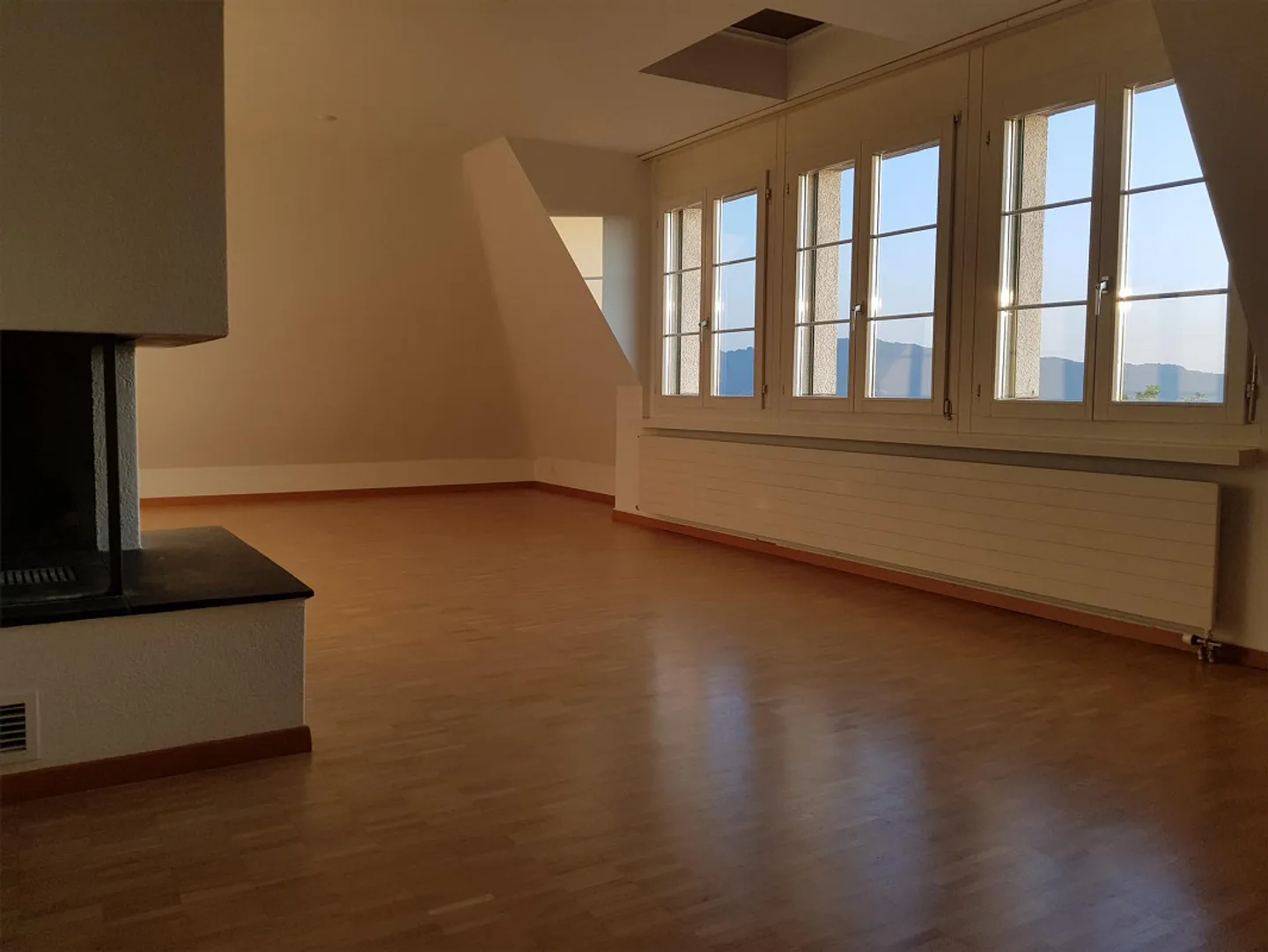 Superschöne charmante Wohnung auf 2 Etagen nähe Irchelpark - Foto 3 von 6