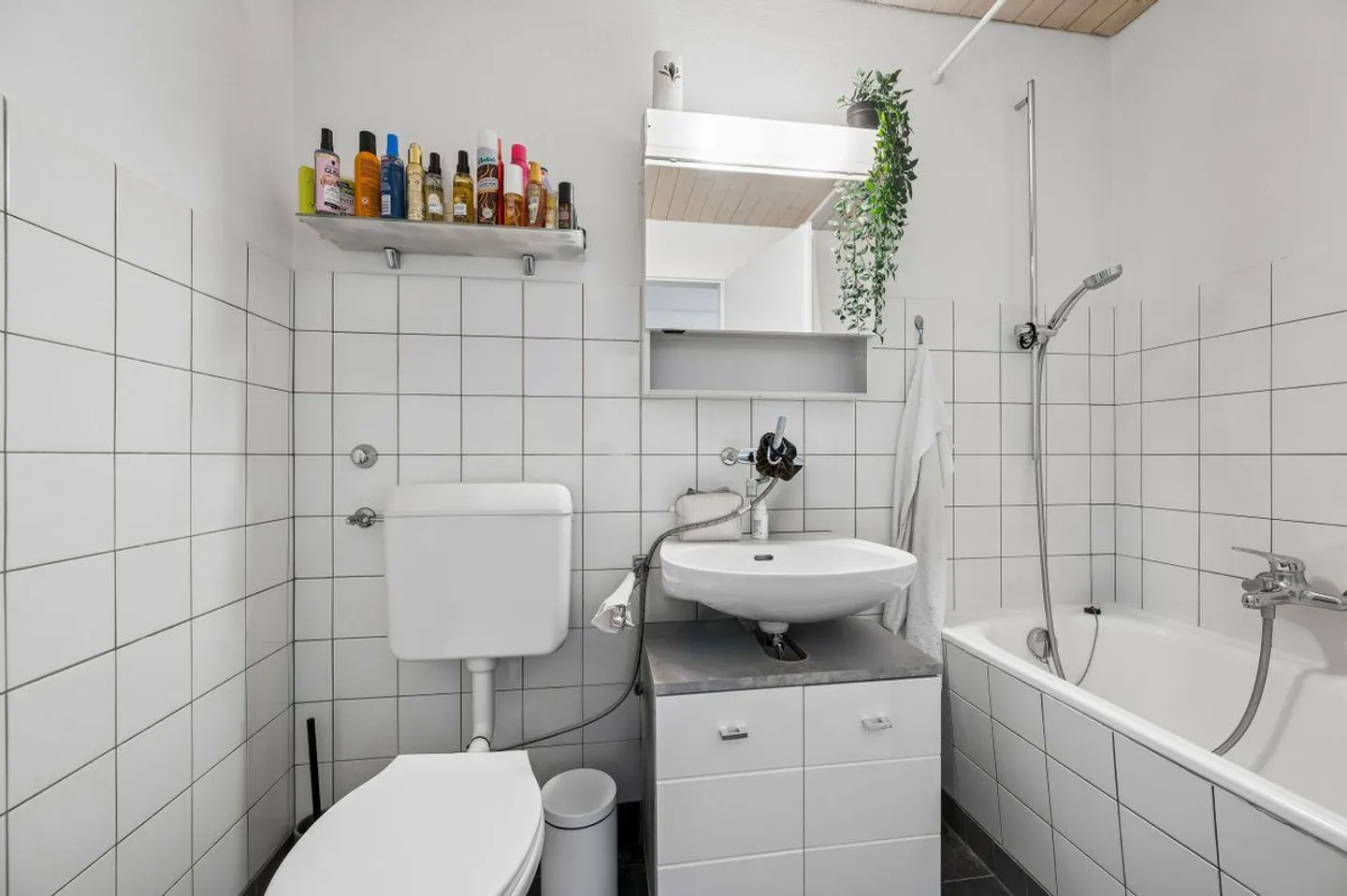 Bright 4.5-Room Apartment - Photo 9 of 13