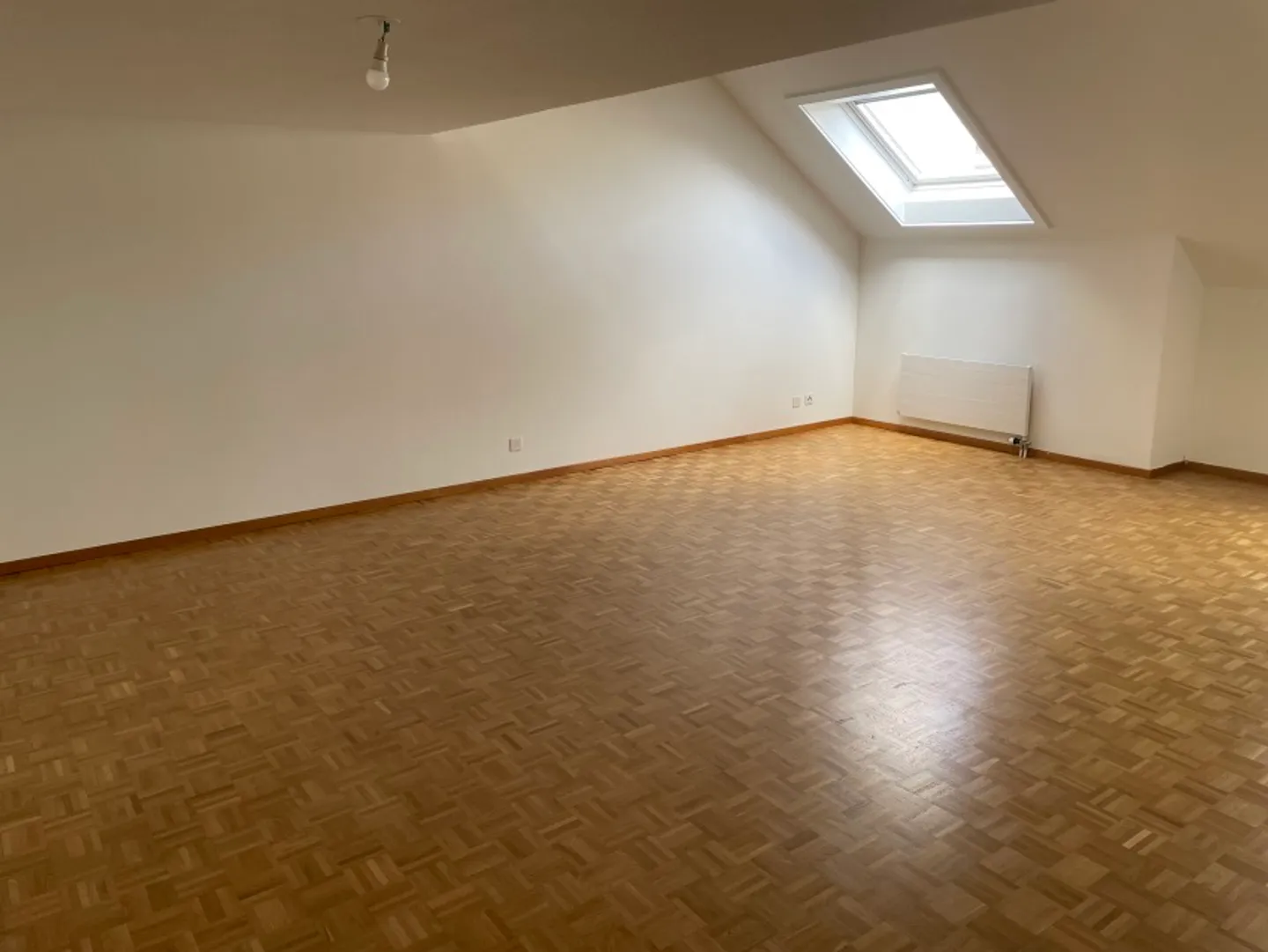 Bel appartamento di 3 stanze di 116M2, in soppalco a 100m dal lago - Foto 1 di 8