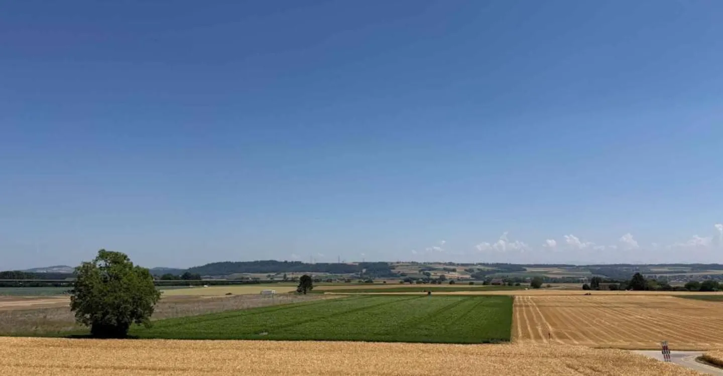 Magnifico appartamento nuovo di 4½ al piano superiore con balcone e vista libera - Foto 6 di 8