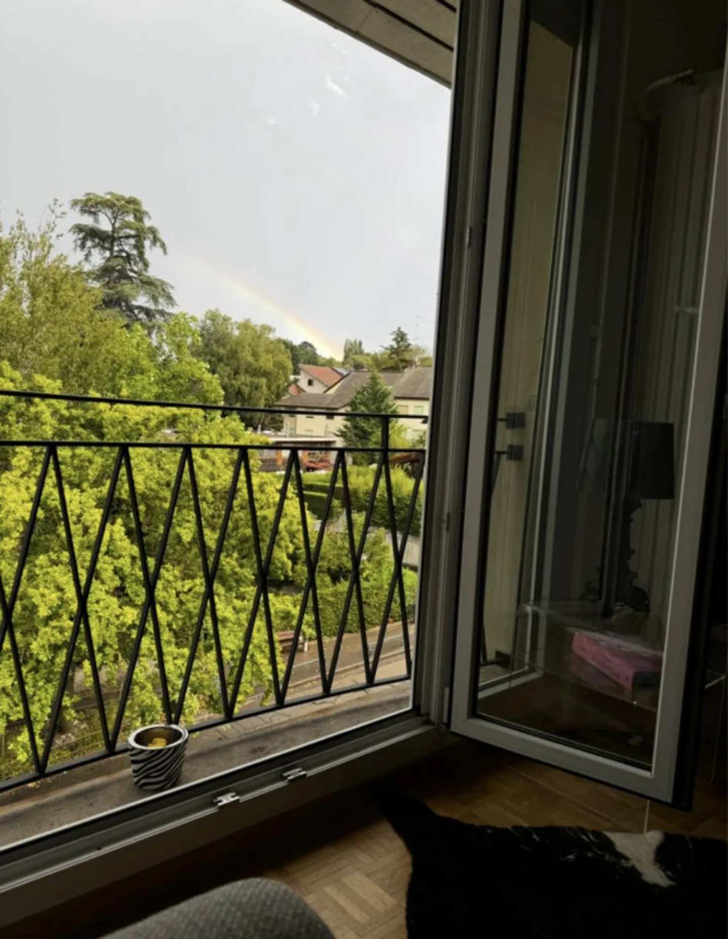 Appartamento 3 locali Grand-Saconnex - Foto 3 di 4