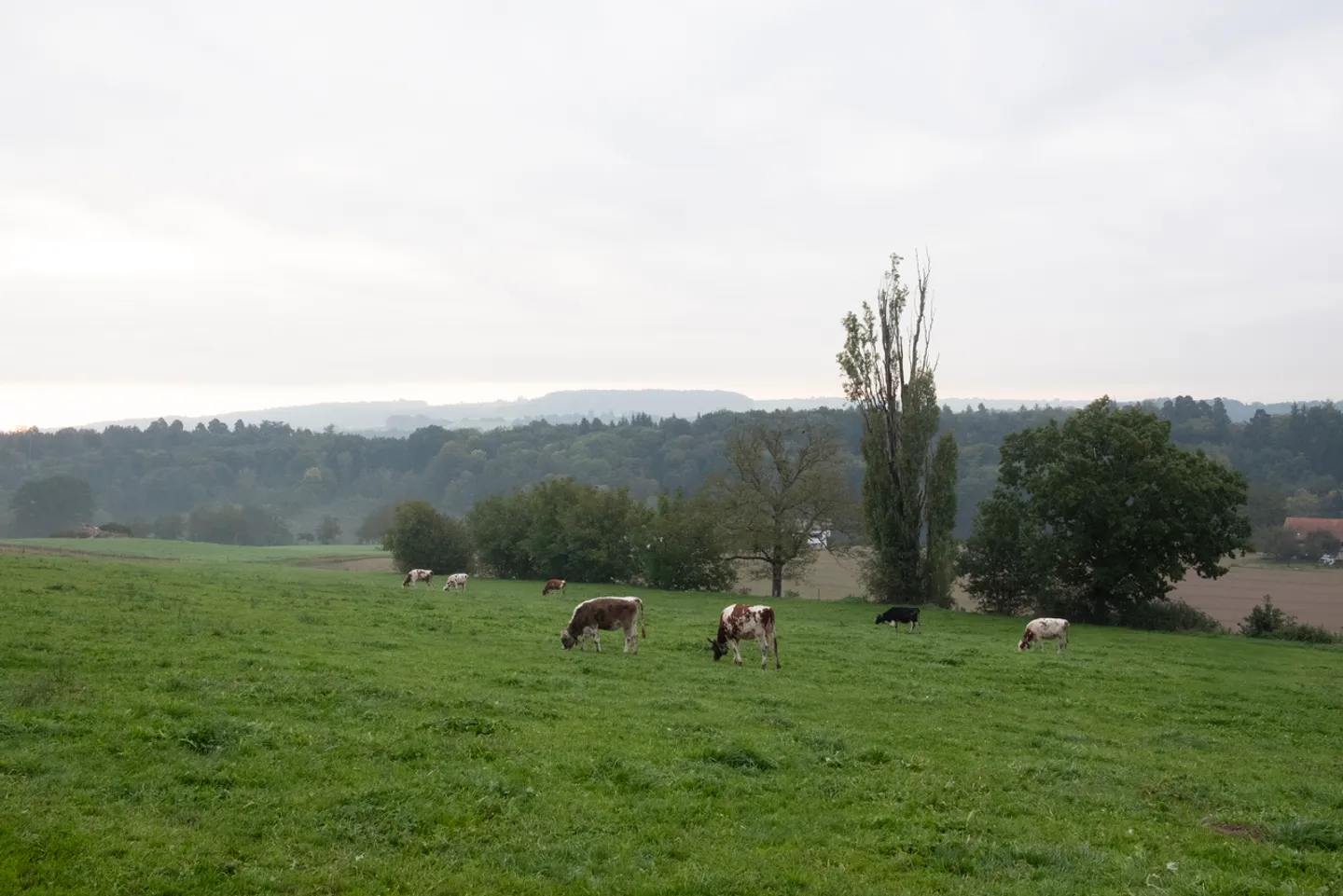 Coming Soon
Three Contemporary Semi-Detached Villas - Photo 1 of 2