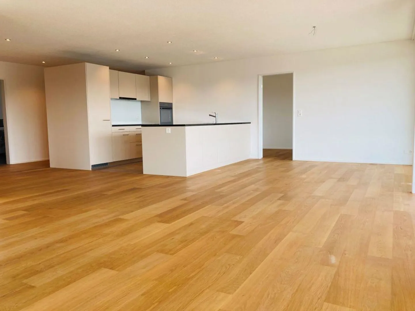 Bright 5.5-room apartment - Photo 3 of 12