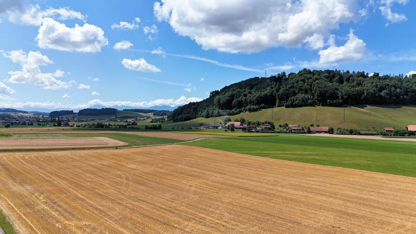 Dernier appartement neuf avec vue sur les Alpes à Boll - Photo 5 sur 8