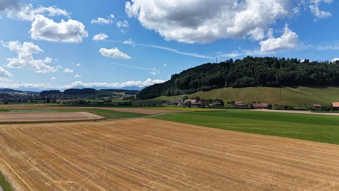 Dernier appartement neuf avec vue sur les Alpes à Boll - Photo 6 sur 8