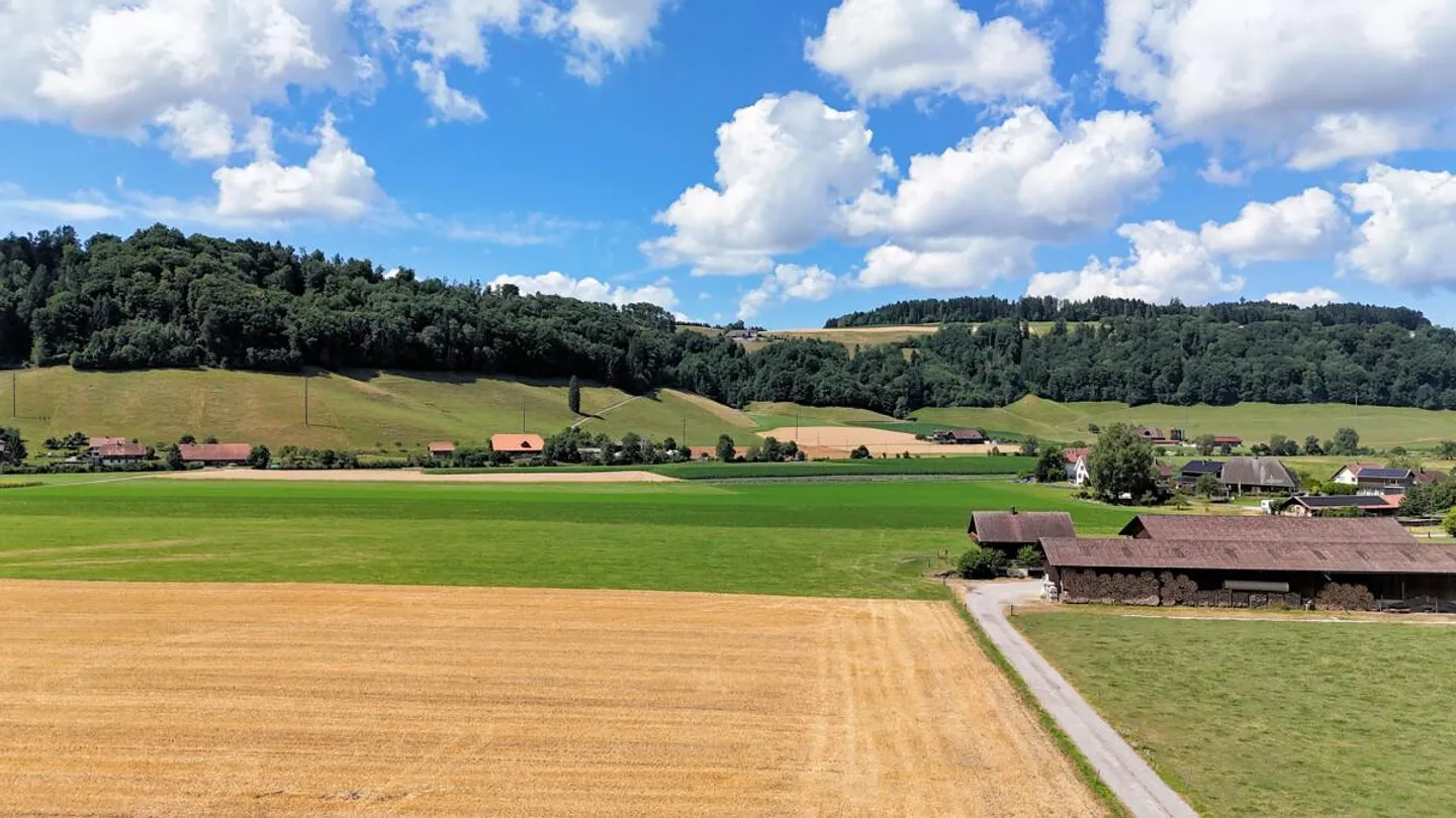Dernier appartement neuf avec vue sur les Alpes à Boll - Photo 4 sur 8