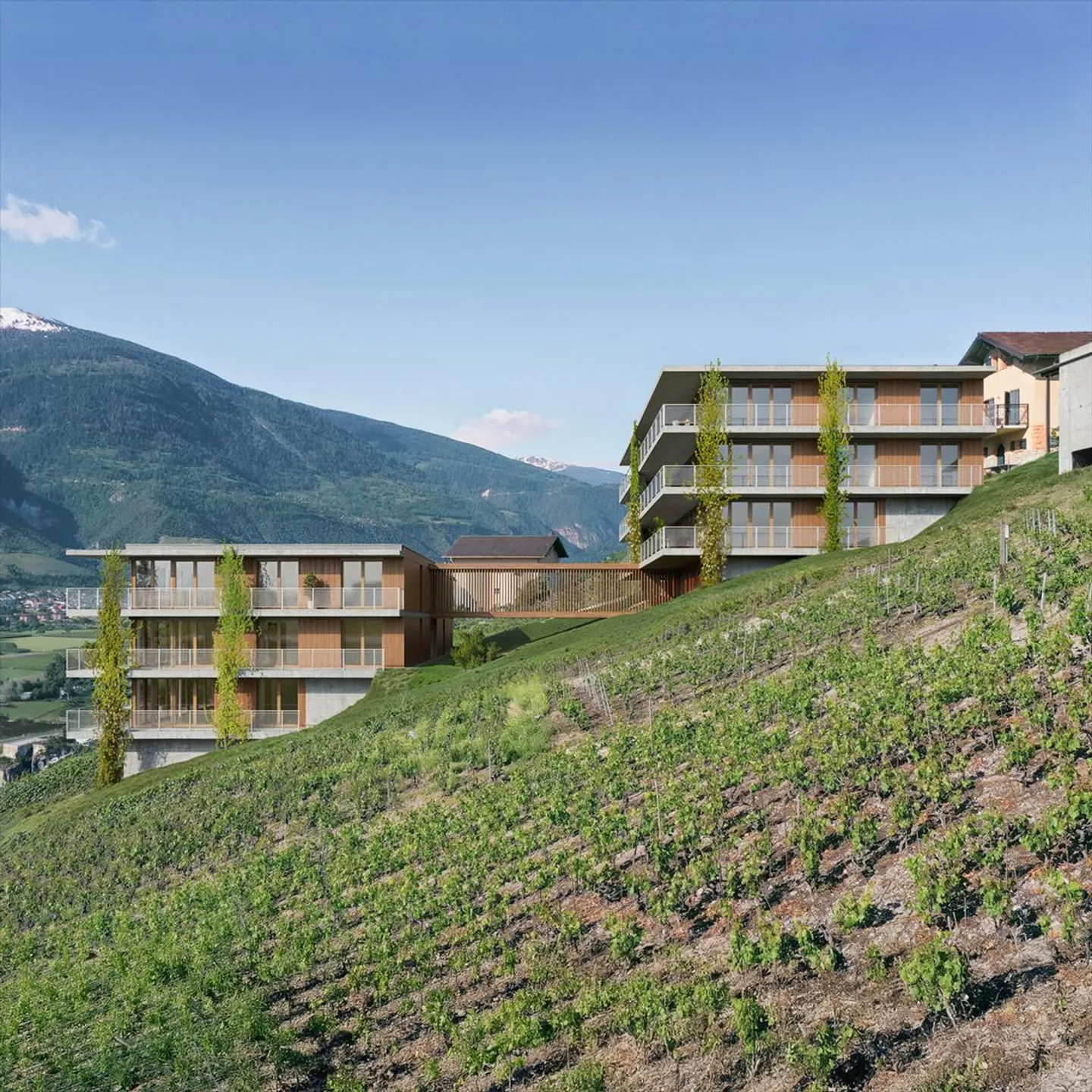 Lot B12 - Appartamento nuovo di 4.5 locali con vista mozzafiato - Foto 3 di 7