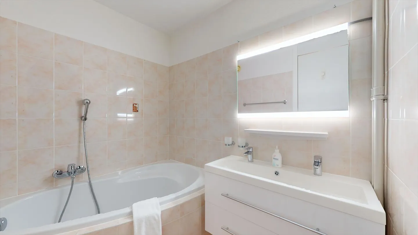 Appartement vue lac - proche de Genève & Lausanne - Photo 12 sur 16