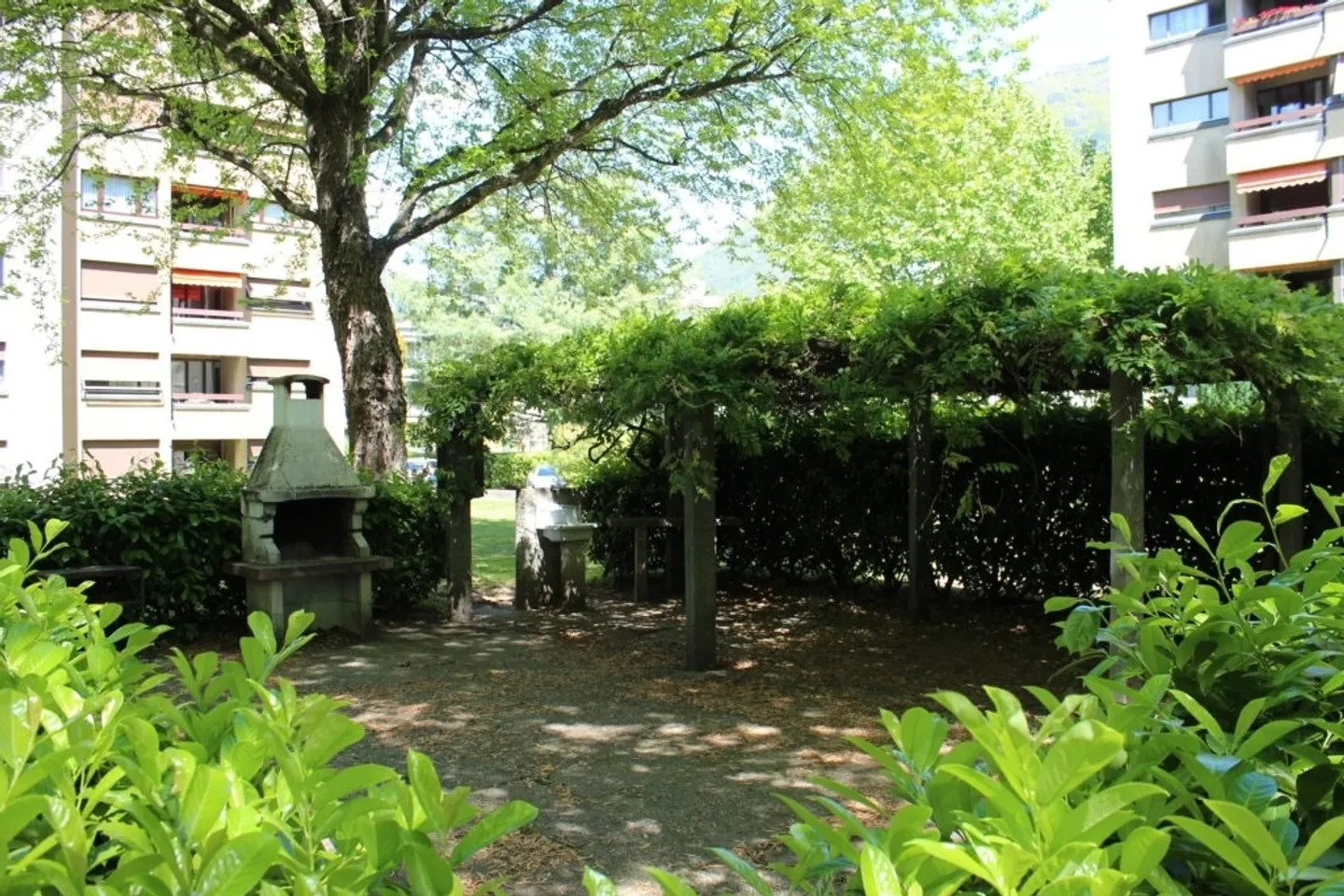 Giubiasco 2.5 rooms with garden Sagittario District - Photo 2 of 17