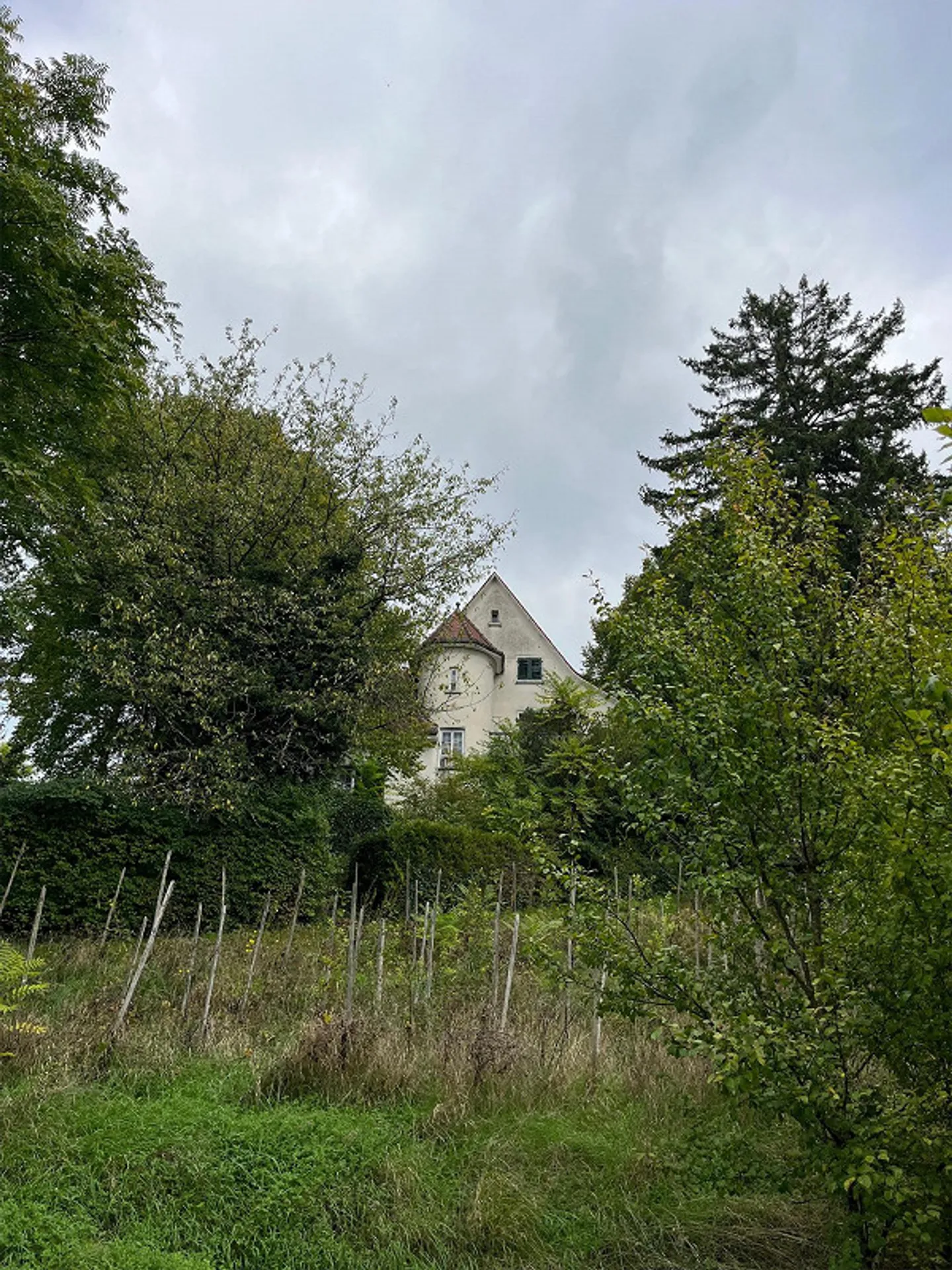 Ampia area edificabile con villa da ristrutturare - Foto 1 di 10