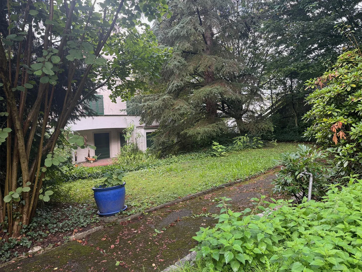Ampia area edificabile con villa da ristrutturare - Foto 7 di 10