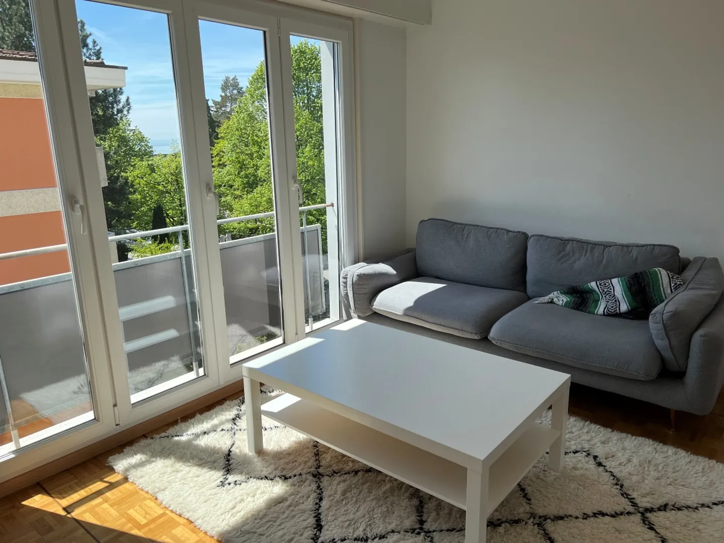 Bright Apartment Near CHUV - Photo 3 of 11