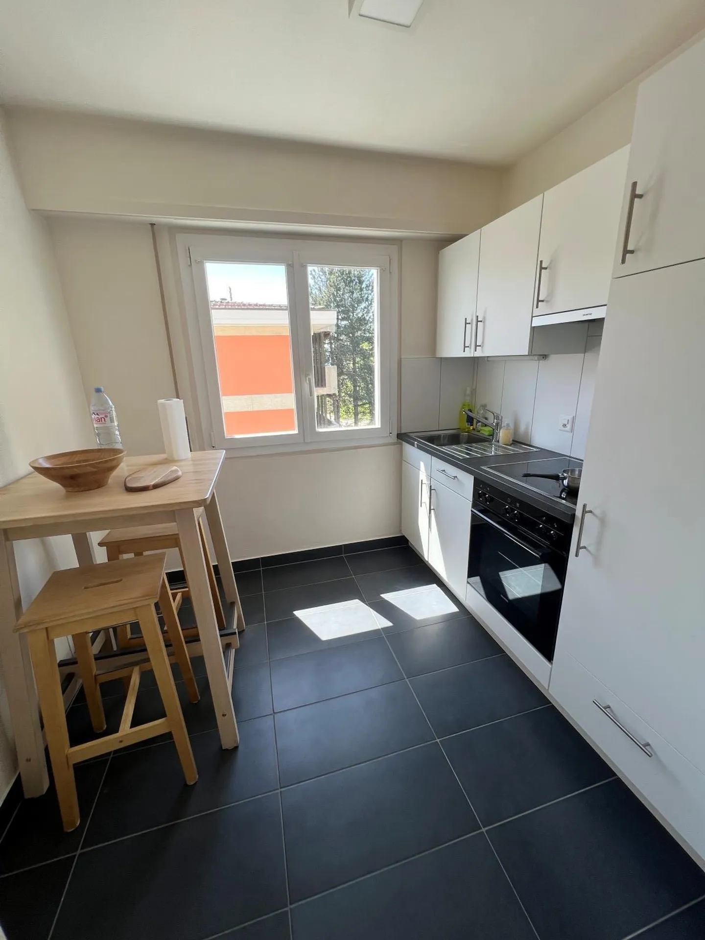 Bright Apartment Near CHUV - Photo 6 of 11