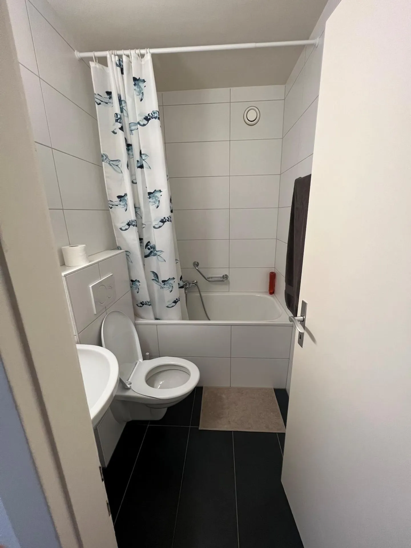 Bright Apartment Near CHUV - Photo 9 of 11