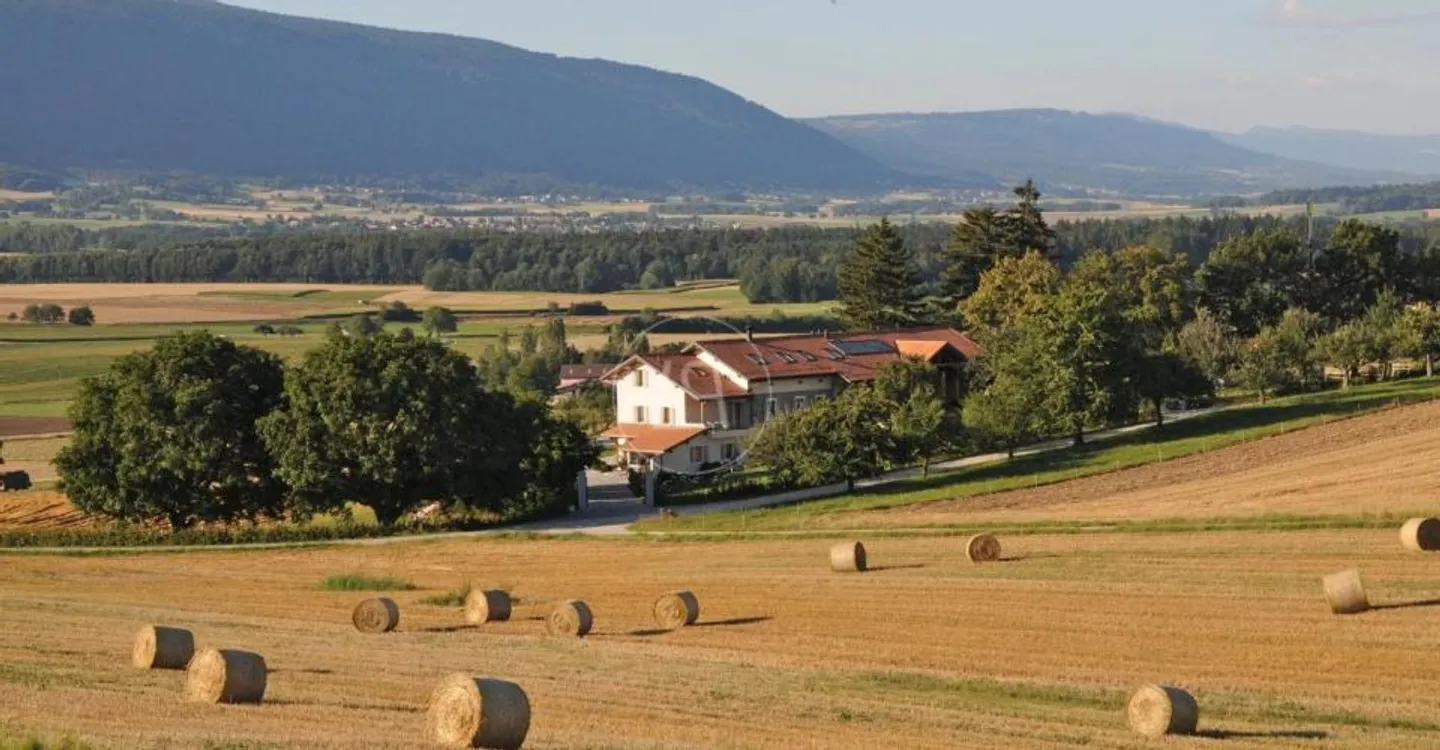 Elegant renovated farmhouse with pool, close to Rolle - Photo 8 of 13