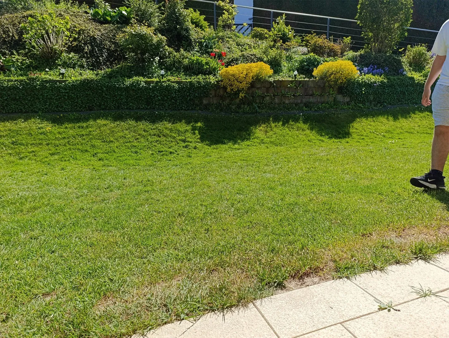 Successor sought for beautiful house in the countryside - Photo 19 of 20