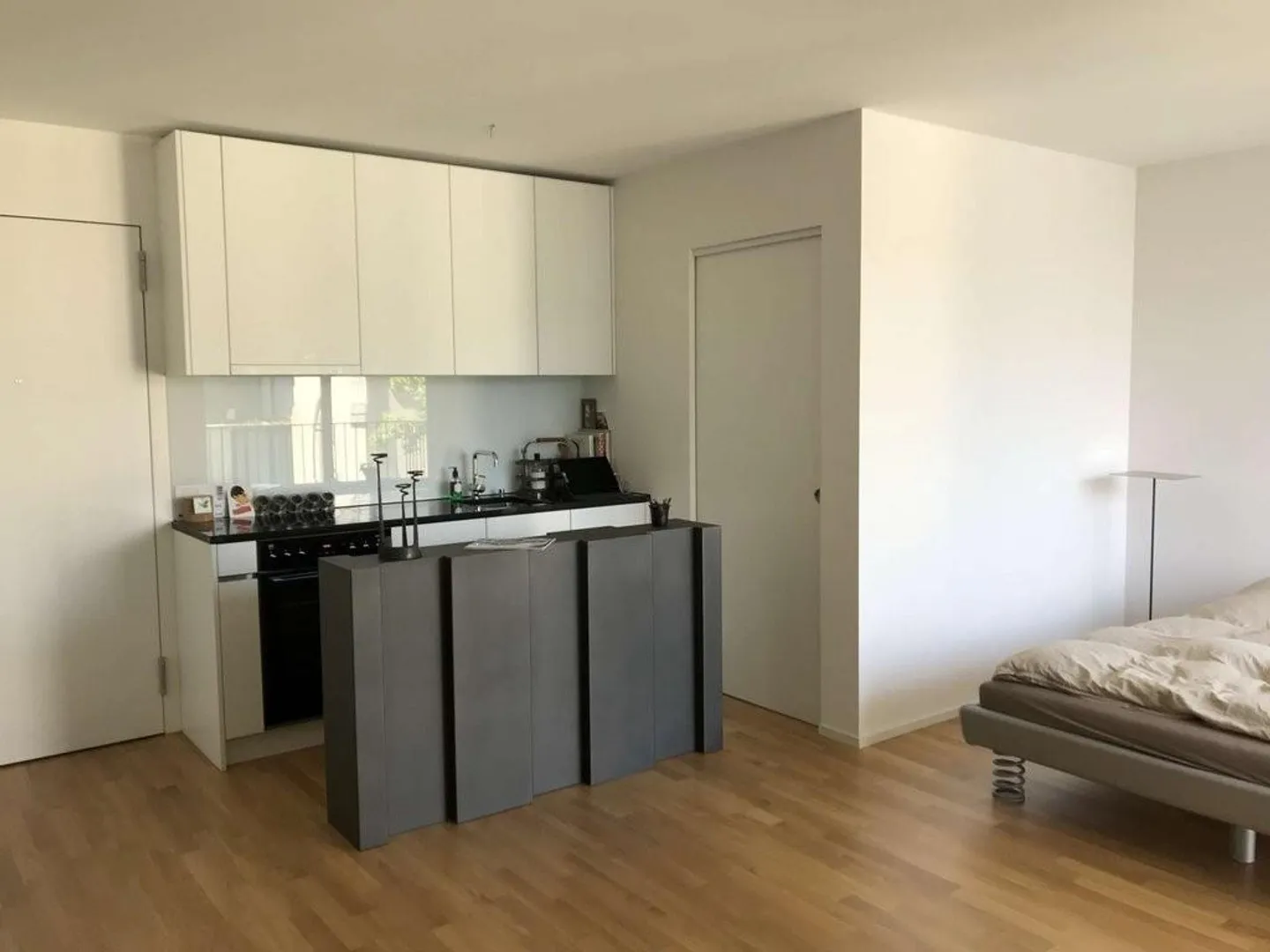 Studio nel cuore di Lucerna e proprio sul lago! - Foto 2 di 5