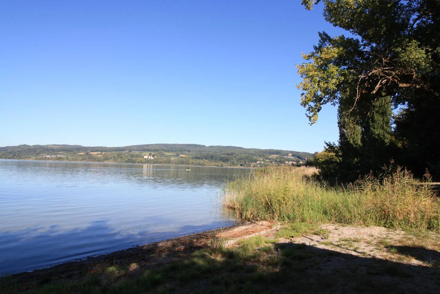 Incantevole proprietà con accesso al lago e spiaggia privata - Foto 6 di 6