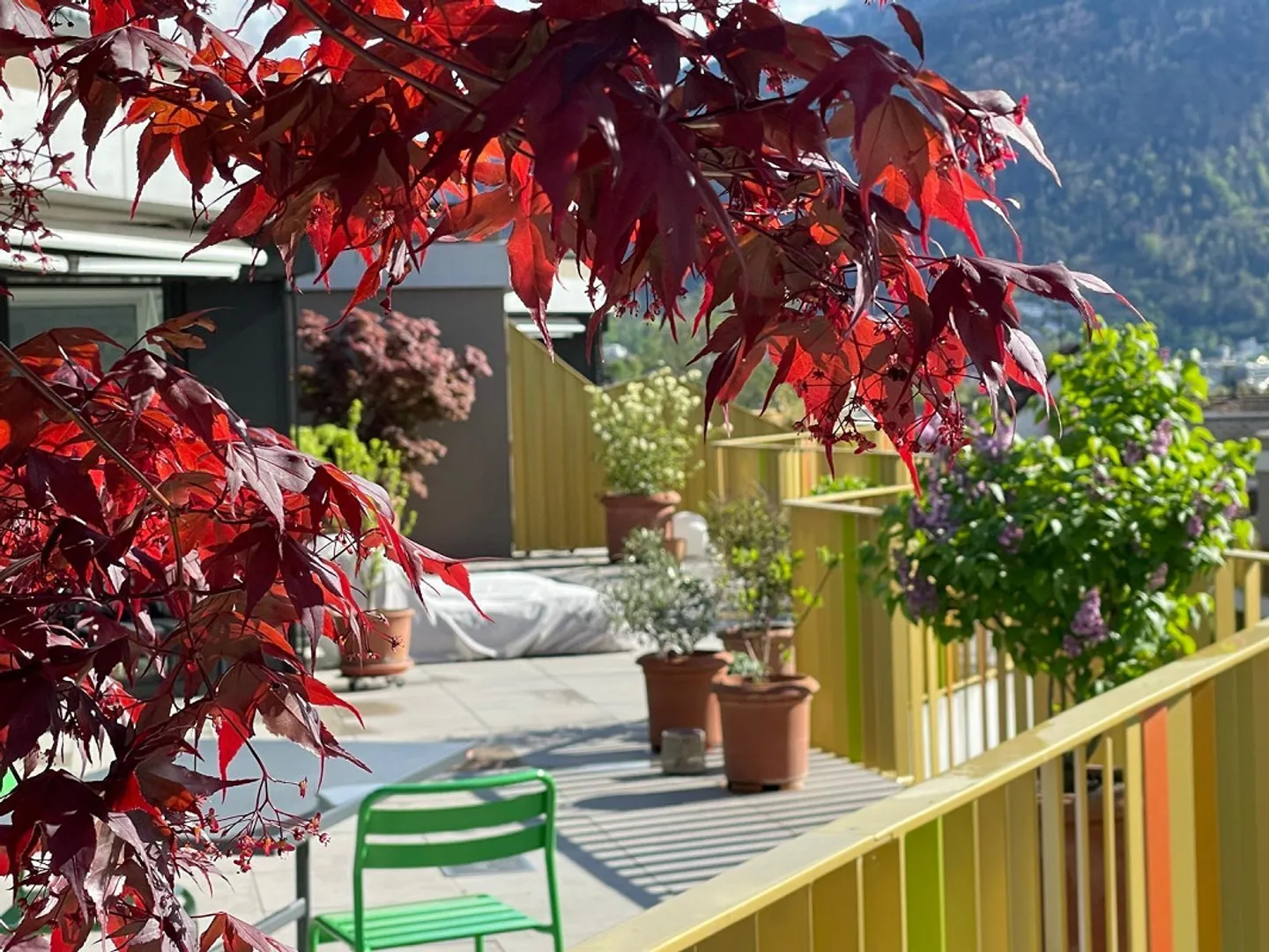 Appartamento attico 3,5 locali con vista mozzafiato - Foto 2 di 8