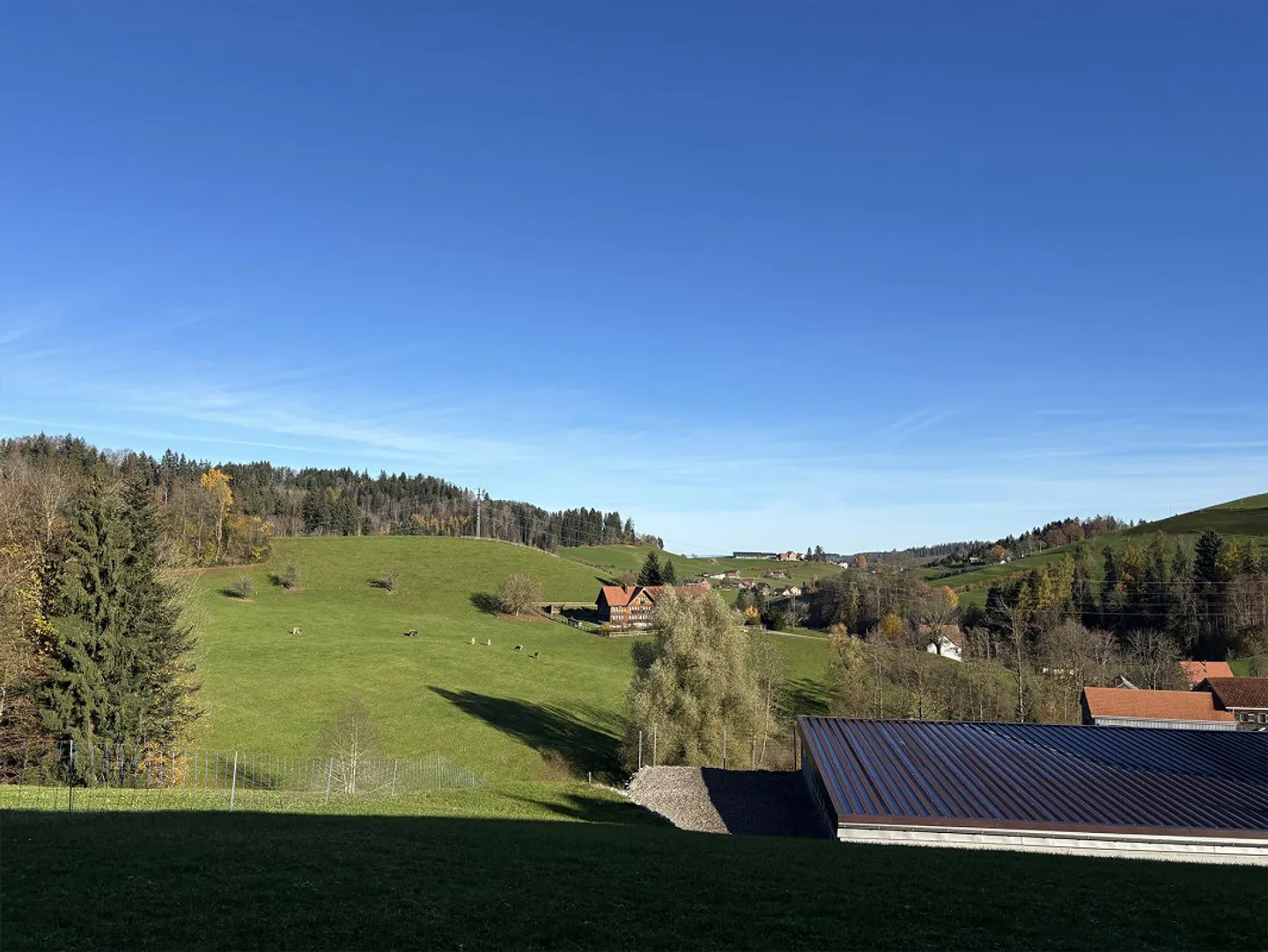 Vivre dans le vert - Photo 4 sur 11