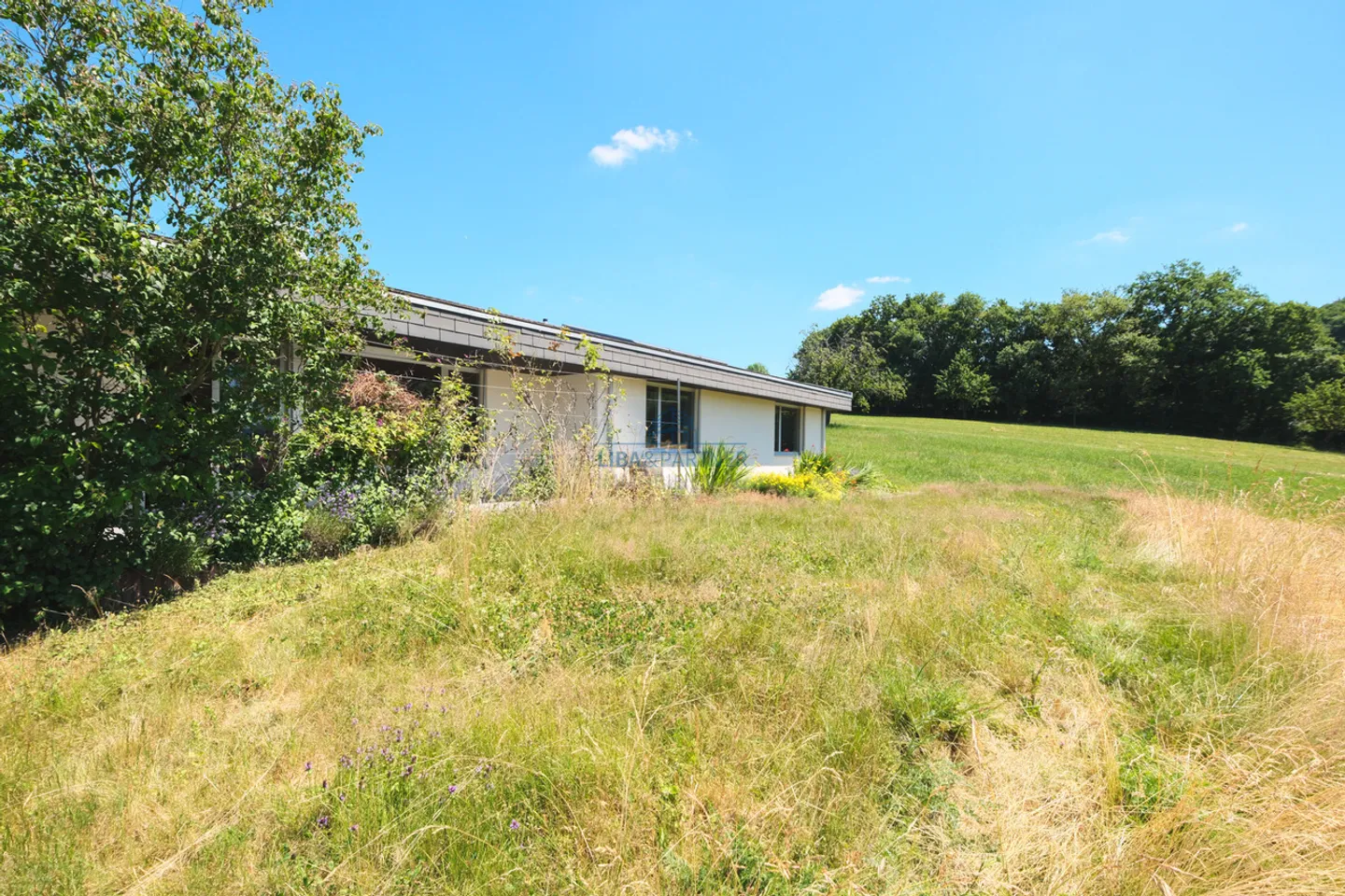 Detached Single-Family Home - Living in Harmony with Nature, with a Wide View and Close to the Forest - Photo 10 of 13
