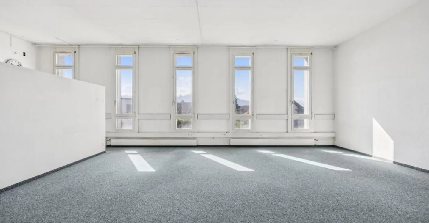 Gewerbefläche im Rheintal - Foto 10 von 10