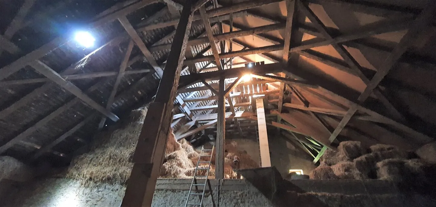 Farm to Renovate - Photo 6 of 6