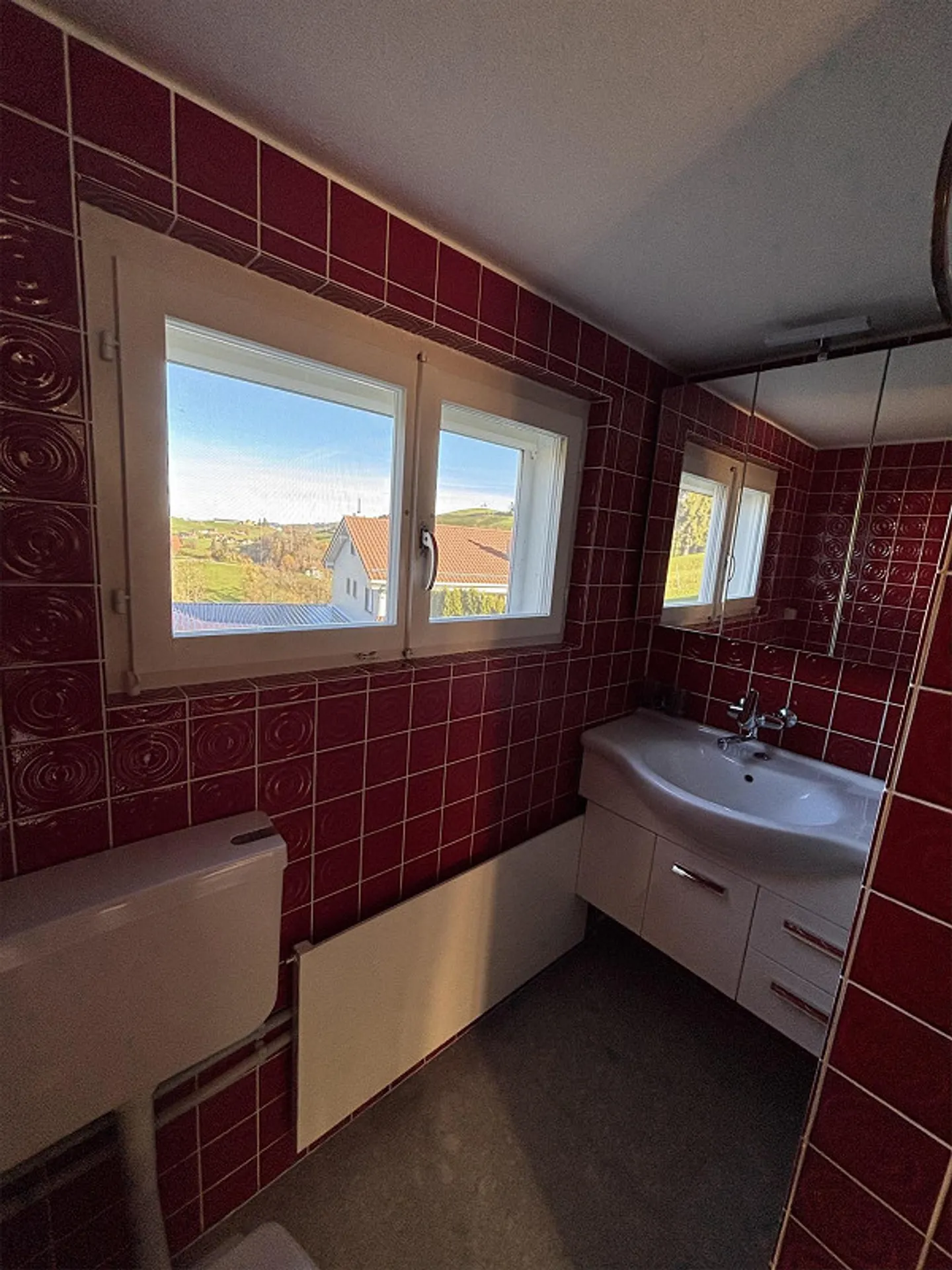 Vivre dans le vert - Photo 11 sur 11