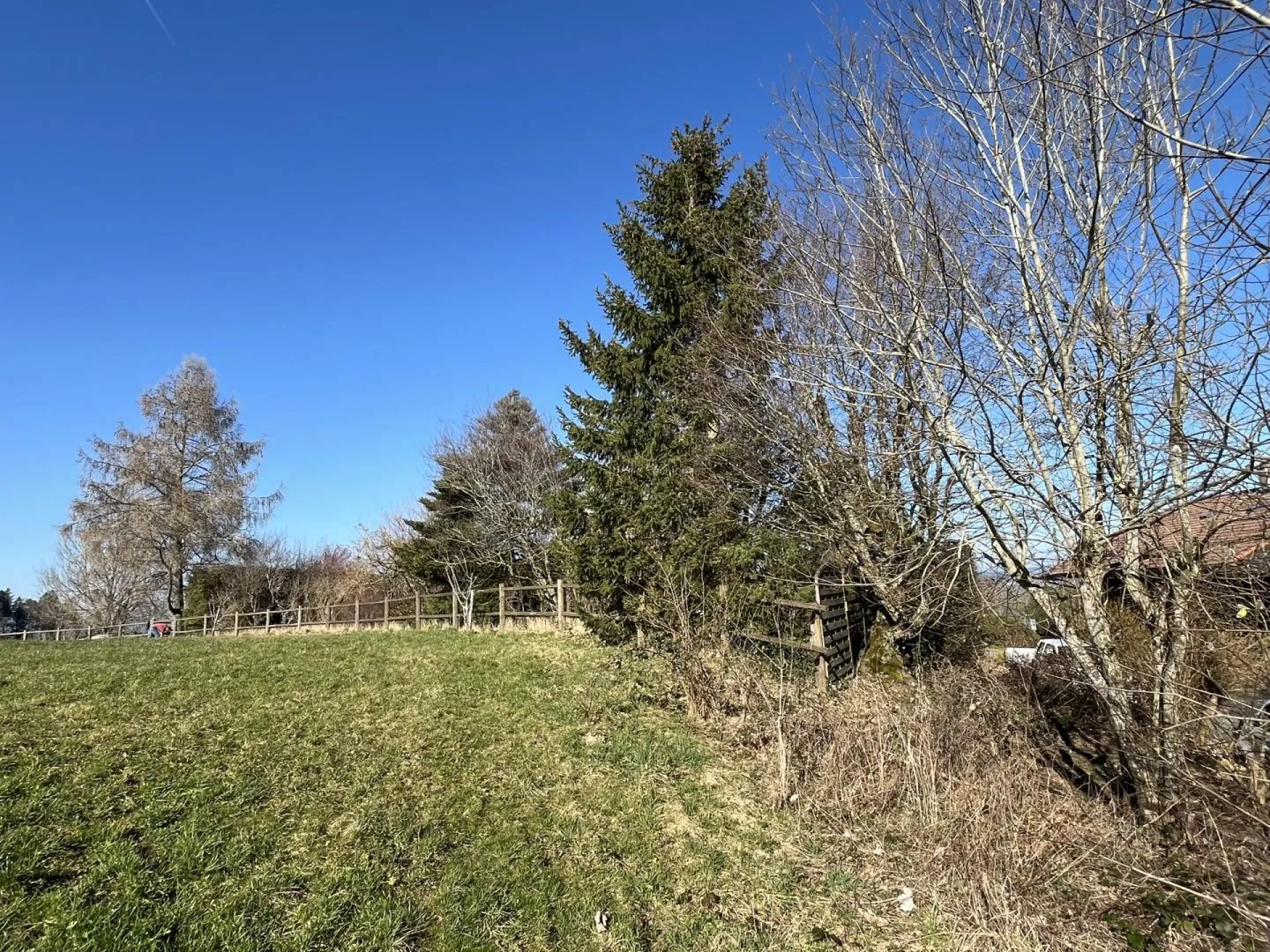 A PROXIMITÀ DELLA NATURA, SPAZIOSO, TRANQUILLO - Foto 14 di 14