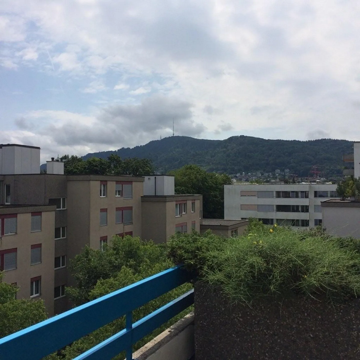 Appartamento affascinante 2.5 stanze ad Altstetten (limitato fino al 30.09.2026) - Foto 7 di 7