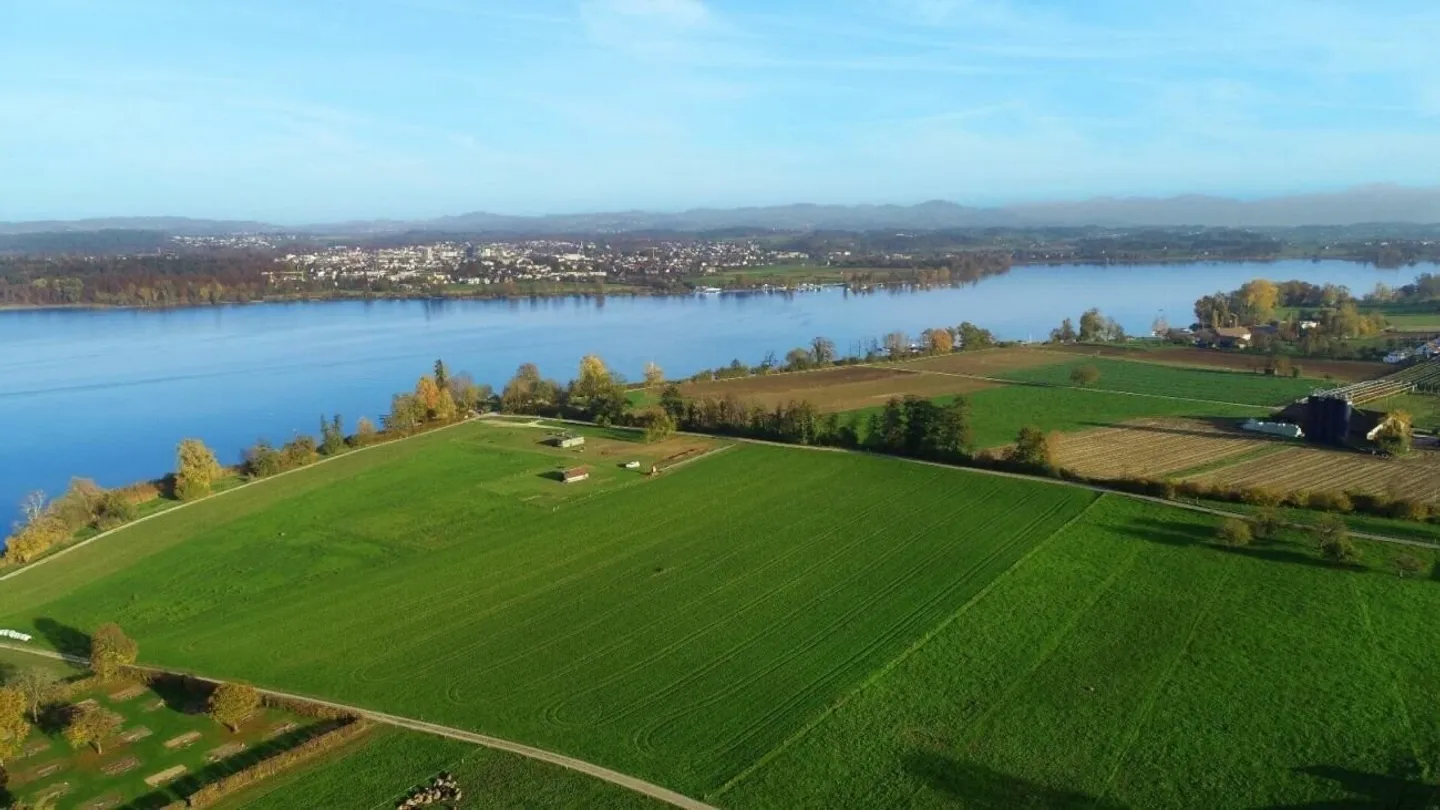 Wohnoase nahe Greifensee - ruhig & sonnig - Foto 1 von 24