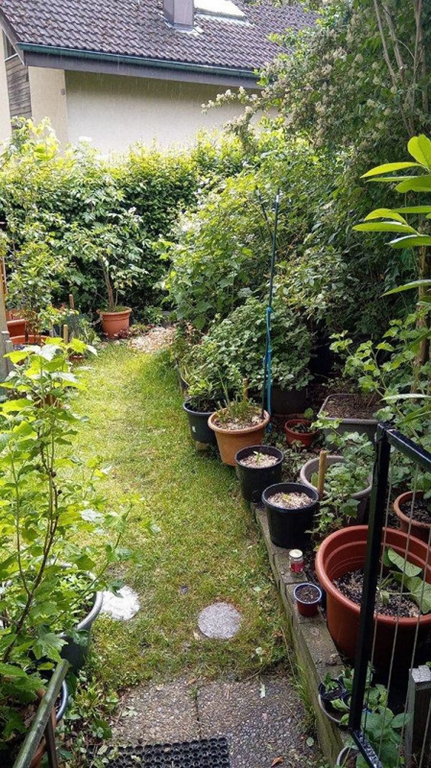 Appartamento accogliente di 2,5 stanze con grande patio giardino - Foto 8 di 12