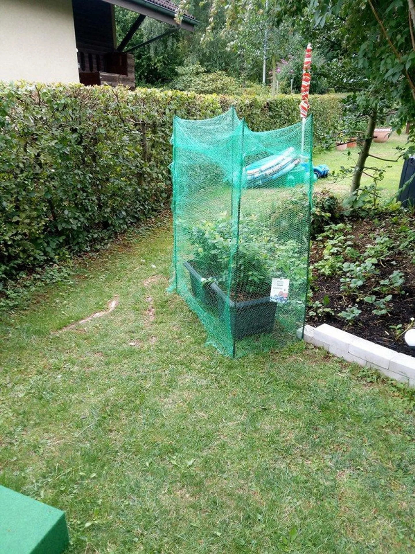 Appartamento accogliente di 2,5 stanze con grande patio giardino - Foto 12 di 12