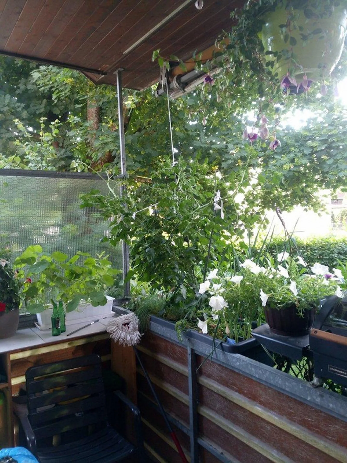 Appartamento accogliente di 2,5 stanze con grande patio giardino - Foto 10 di 12