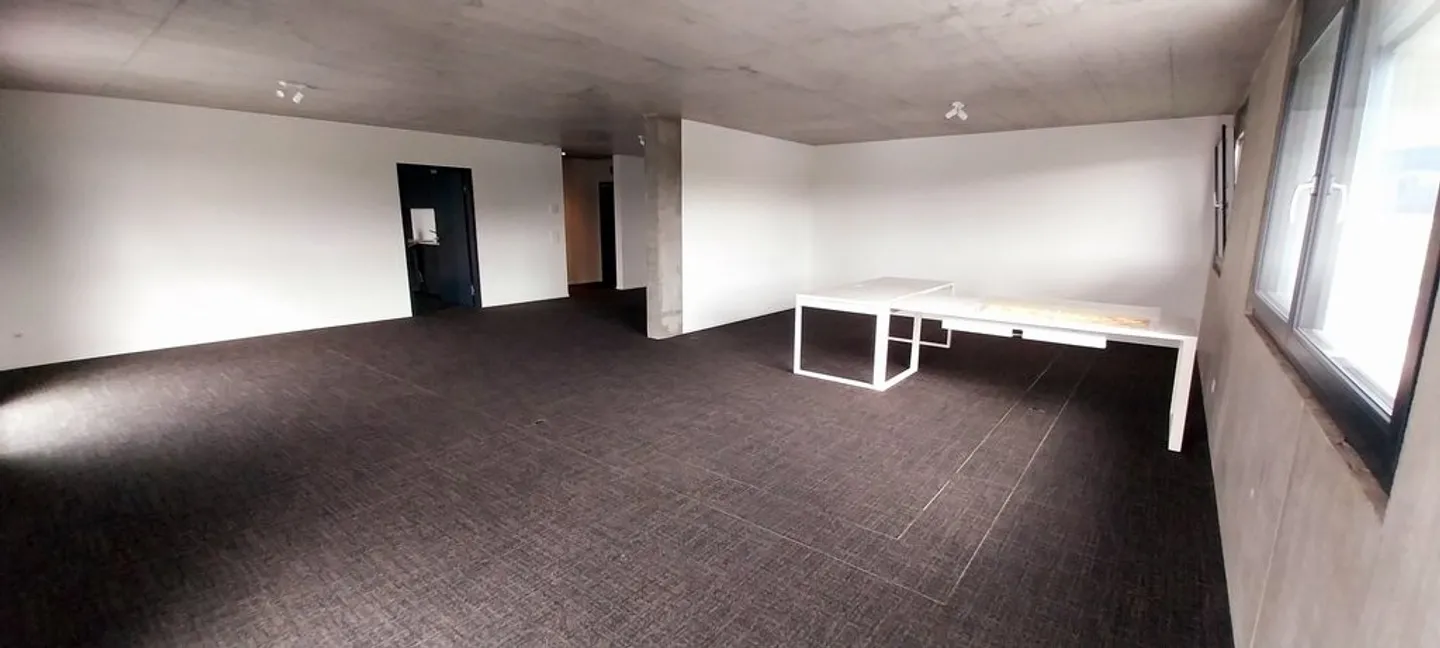 Office, medical practice or other new office space for rent - Photo 4 of 5