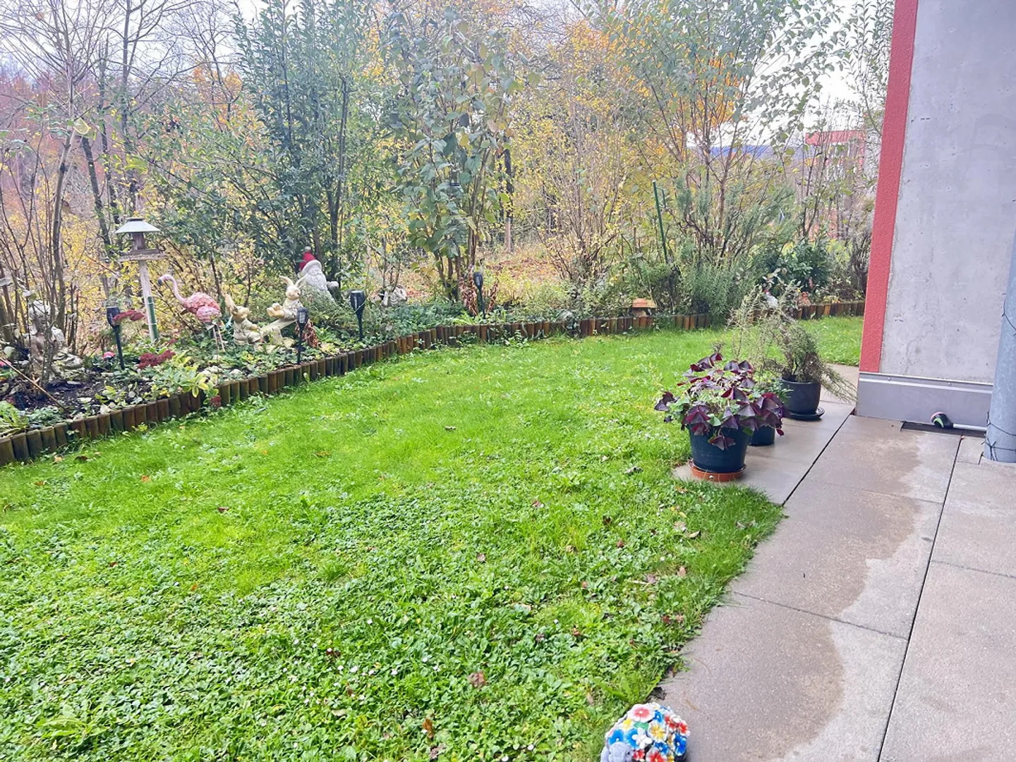 Lieben Sie Ruhe, Natur und die Nähe zum Wald? Dann sind Sie hier genau - Foto 14 von 15