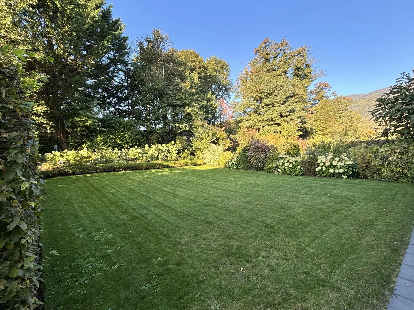 FOR RENT: Large luxury apartment with terraces and garden - Photo 2 of 12