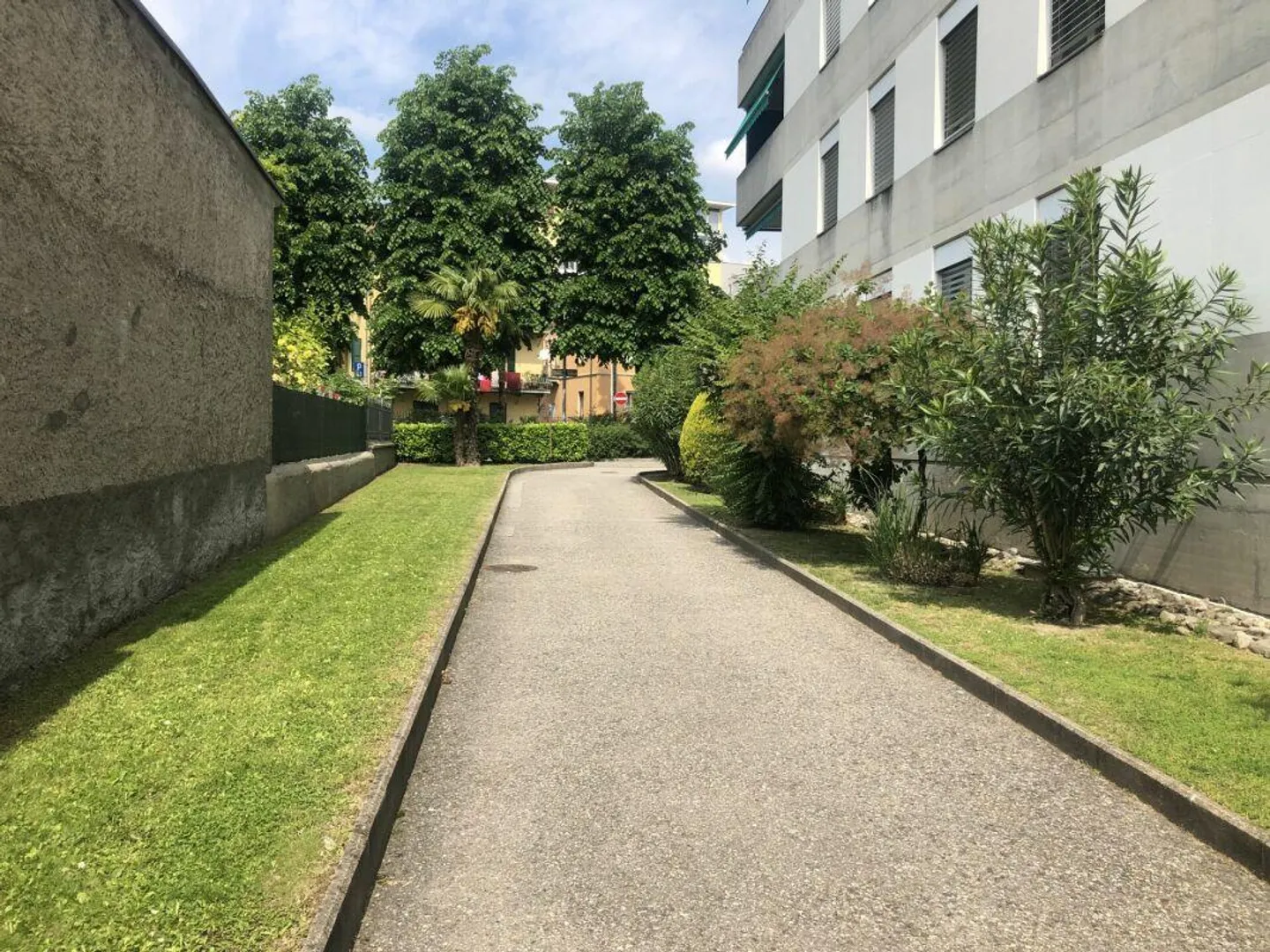 Rinnovato e centrale appartamenti di 3.5 locali affittato - Foto 4 di 14