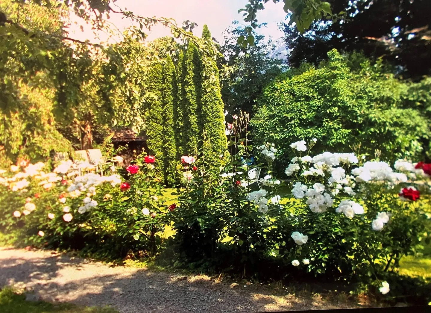 Attico di 5 stanze in una casa in stile Jugendstil in posizione centrale - Foto 15 di 15