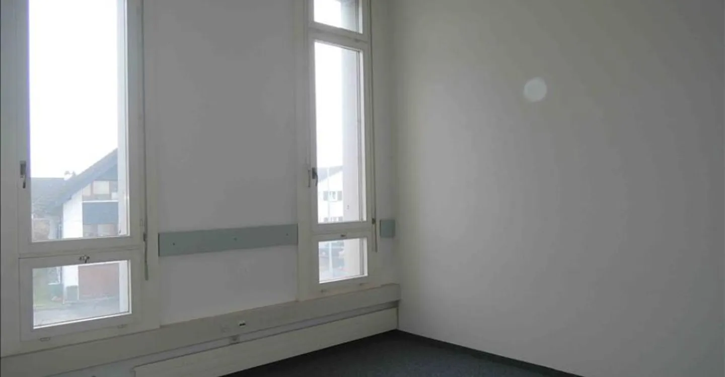Gewerbefläche im Rheintal - Foto 1 von 10