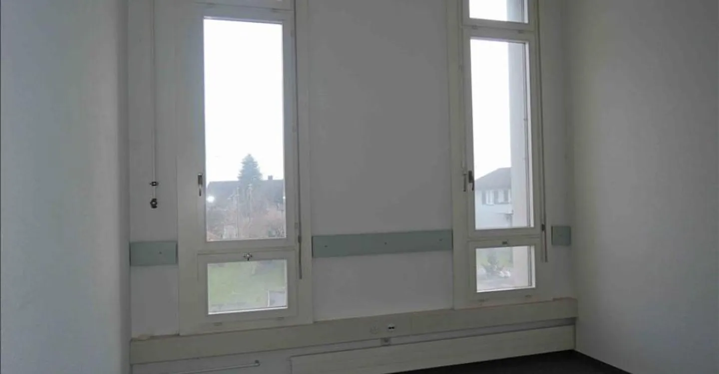 Gewerbefläche im Rheintal - Foto 2 von 10