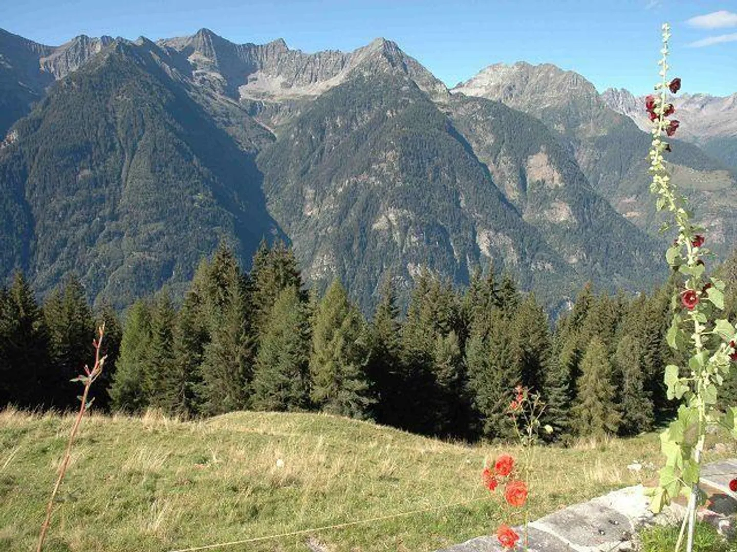 Rustico 4 1/2 locali in posizione isolata, molto soleggiato, vista tranquilla - Foto 17 di 27