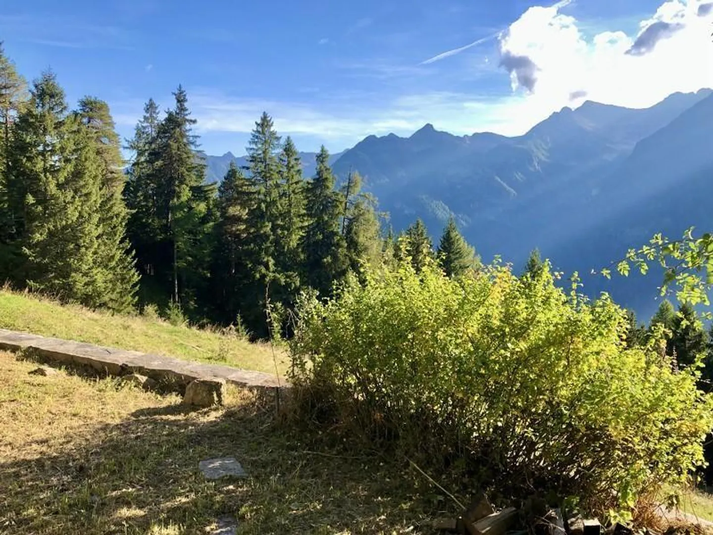 Rustico 4 1/2 locali in posizione isolata, molto soleggiato, vista tranquilla - Foto 19 di 27