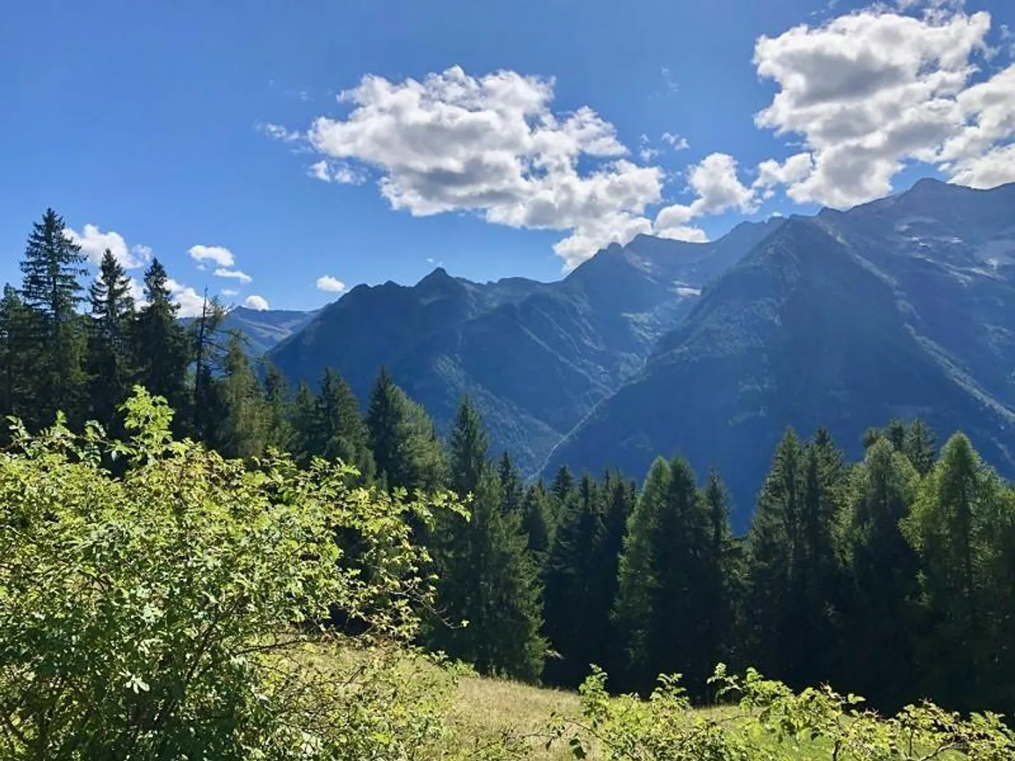 Rustico 4 1/2 locali in posizione isolata, molto soleggiato, vista tranquilla - Foto 20 di 27